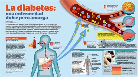 Funcion De Insulina La Diabetes Para Que Usa El Cuerpo La
