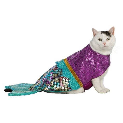 35 Cat Halloween Costumes — Funny Halloween Costumes For Cats Parade Pets