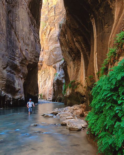 A Guide To The Narrows Hike In Zion National Park Utah