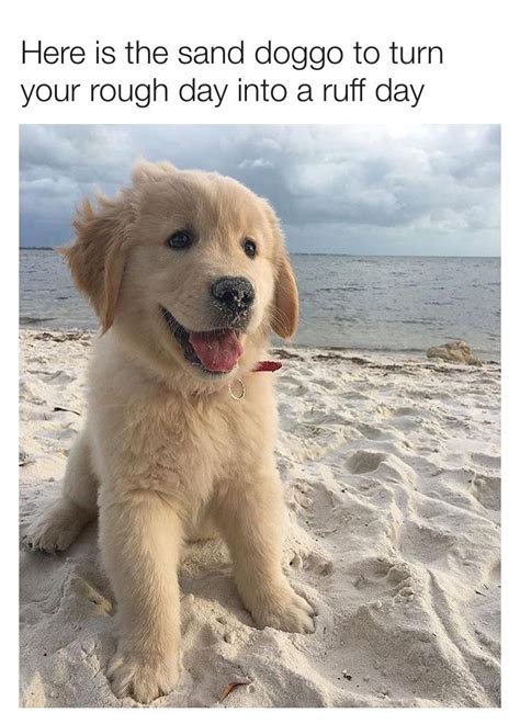See more ideas about wholesome memes, cute love memes, memes. Wholesome Memes - 50 Wholesome Snapchat Memes