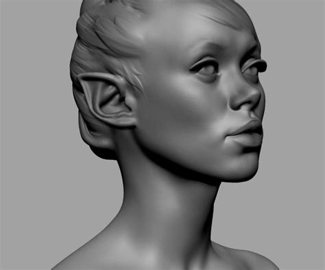 Artstation Male Female Head Collection Game Assets