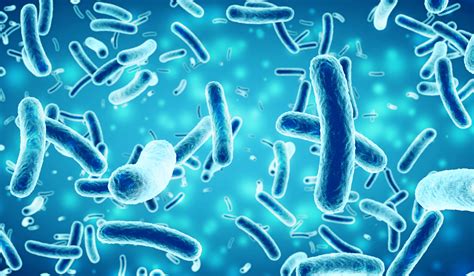 Salmonella infection (salmonellosis) is a common bacterial disease that affects the intestinal tract. Salmonella tem resistência a diferentes antibióticos | Ao ...