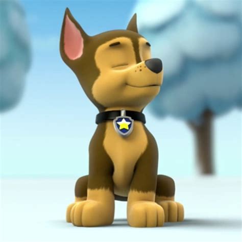 Chase Chase Paw Patrol Photo 40128080 Fanpop