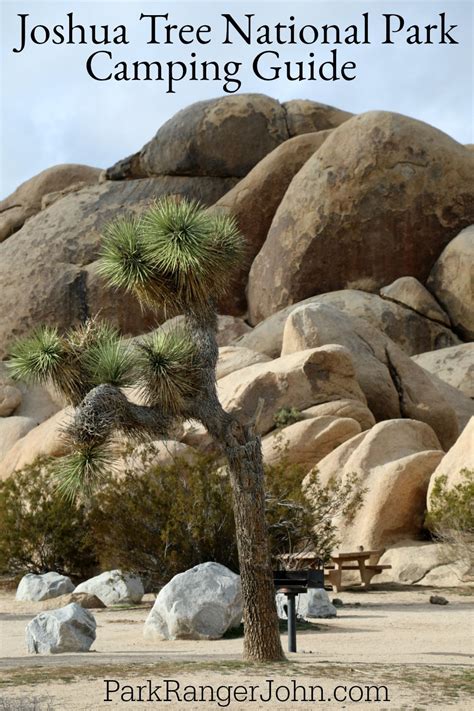 Joshua Tree National Park Camping Guide Joshua Tree National Park