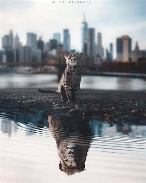 Creamy Photo Manipulations On Instagram Believe In Yourself And The