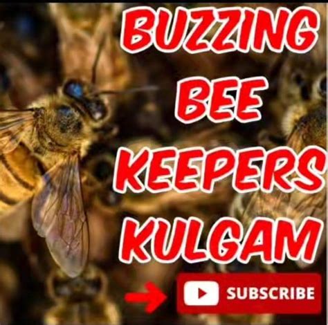 buzzing bee keepers cum honey dealers kulgam kashmir