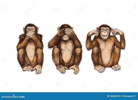 Three Wise Monkeys See Hear Speak No Evil Stock Illustration
