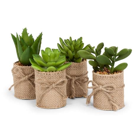 Our Set Of 4 Burlap Wrap Succulents Part Of Our Mojave Collection Of