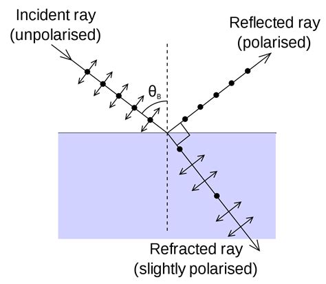 Polarization By Reflection Of Light Class Twelve Physics