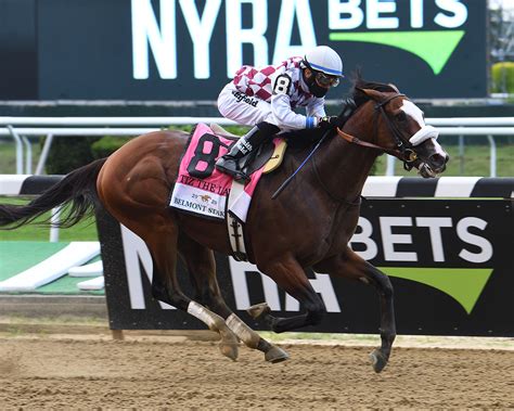 Tiz The Law Victorious In G1 Belmont Stakes New York Thoroughbred Breeders Inc News New York