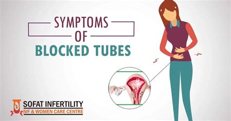 Symptoms Of Blocked Fallopian Tubes All You Need Infos