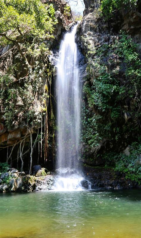 Rincon De La Vieja National Park Hiking Mud Pots And Waterfalls