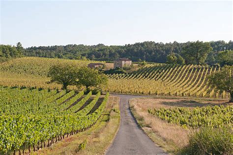 Southern France Vineyard Stock Photos Pictures And Royalty Free Images