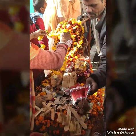 आज के दर्शन माँ विजवा सबकी मनोकामनाएं पूरी करे💐💐💐 जय माँ विजवा By