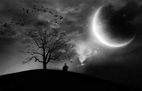 Black Nature Wallpapers - Wallpaper Cave
