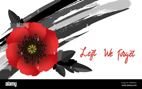 Remembrance Day Lest We Forget Red Poppy Flower International Symbol