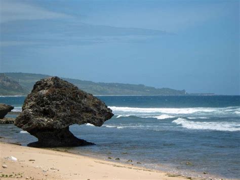 Monday Geology Pictures Coral Boulders On The Beach In Barbados
