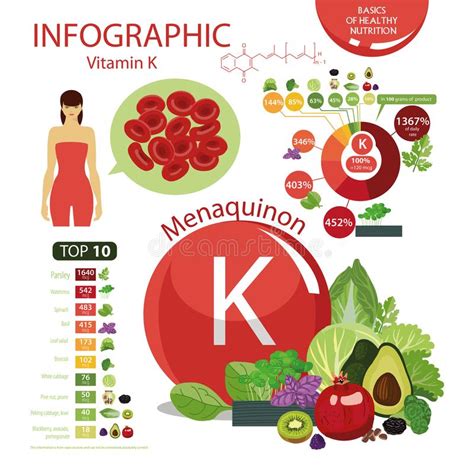 Vitamin K Natural Organic Foods With High Vitamin Conte Stock Vector