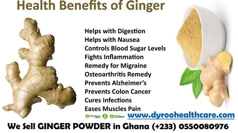 9 Health Benefits Of Ginger Zingiber Officinale DYROO HEALTHCARE