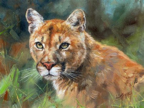 Cougar Painting By David Stribbling Fine Art America