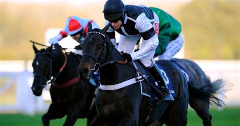 Horse Racing Tips And Best Bets For Newcastle Lingfield And Chelmsford
