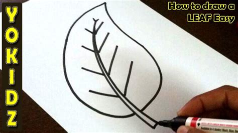 How To Draw Leaves Draw Space