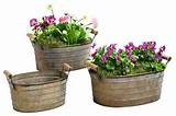 Metal Flower Pots With Handles Pictures