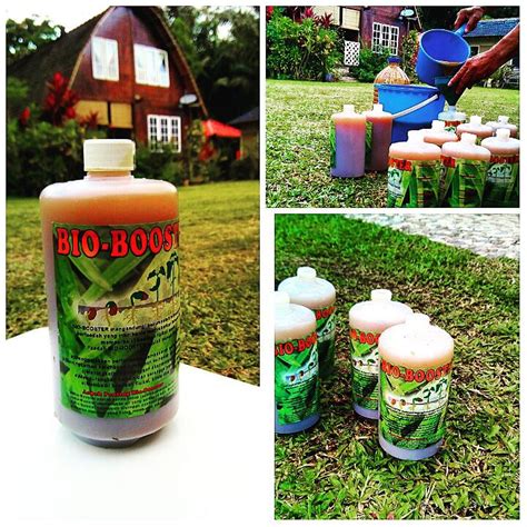Kayu adalah salah satu hasil hutan komersial yang paling dominan. Colonel's Cottage & Camping Site : Introducing ..our ...