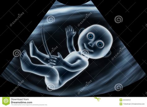 Baby In Womb Cartoon Funny