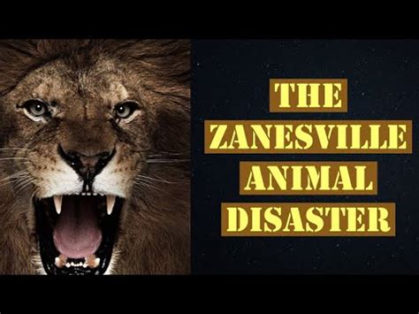 The Zanesville Ohio Animal Tragedy Explained - YouTube