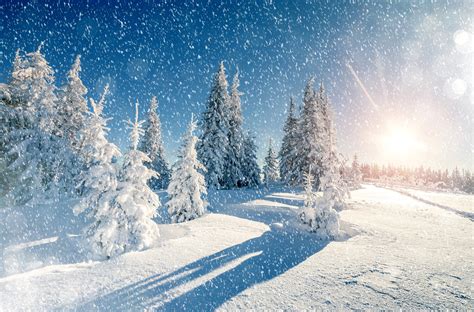Winter Trees Snow Season K Hd Nature K Wallpapers Images Backgrounds Photos And Pictures