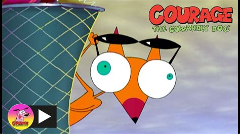 Courage The Cowardly Dog Cajun Fox Cartoon Network Youtube