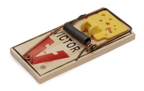 Can You Build A Better Mousetrap