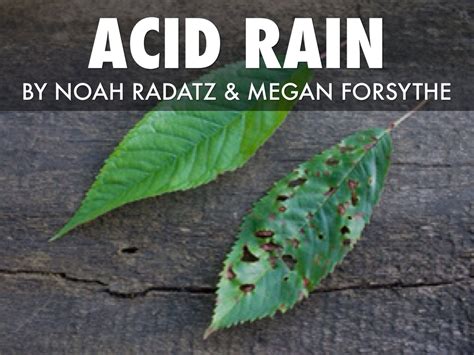 Acid Rain By Megan Forsythe