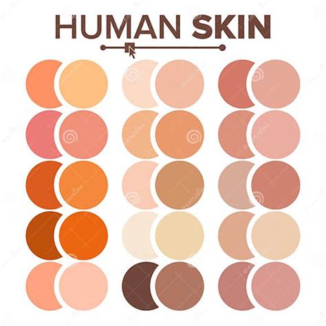 Skin Human Vector Various Body Tones Chart Realistic Texture Palette