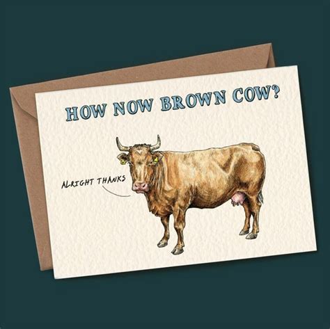 How Now Brown Cow Card Funny Cow Card Bewilderbeest Funny Cards