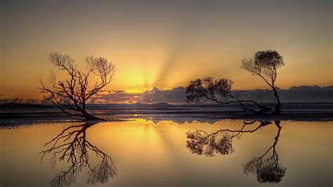 Download Wallpaper 1920x1080 Sunset Trees Water Reflection Full Hd