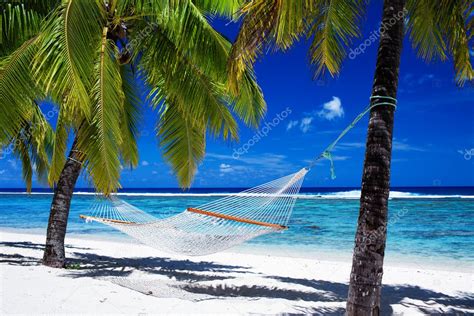 Hammock Between Palm Trees On Tropical Beach — Stock Photo