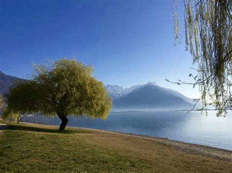 Mit 2 personen mit ihrem zelt/caravan oder reisemobil in der nebensaison. Comer See Domaso Camping Direkt am See mit land