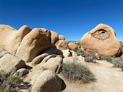 Arch Rock Joshua Tree National Park 2021 All You Need To Know