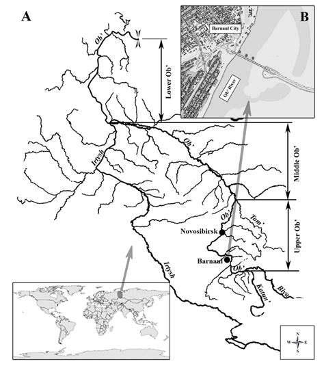 The Scheme Of The Ob River Basin A And Potamoplankton Sampling Sites