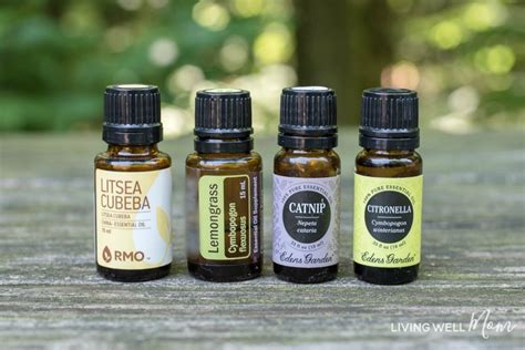 Homemade Essential Oil Mosquito Repellent Spray + Roller Blend