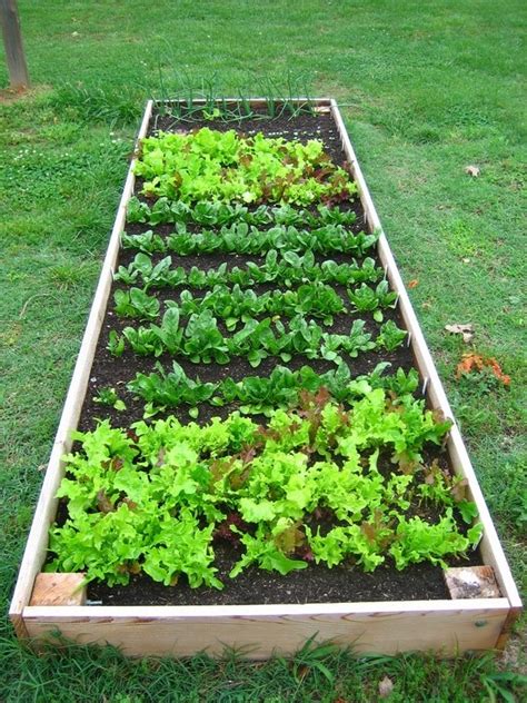 Diy Raised Vegetable Gardens Clever And Creative Ideas