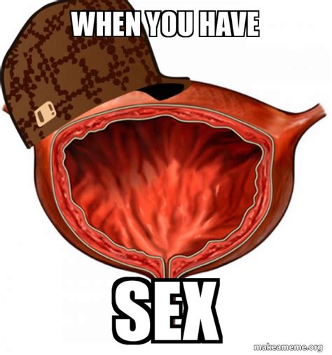 When You Have Sex Scumbag Bladder Make A Meme