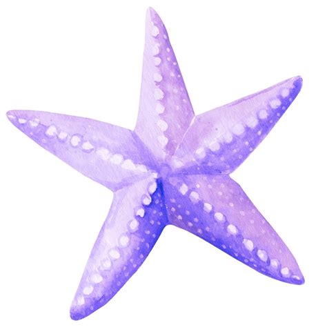 The Purple Starfish Community Shop Kaniva Vic