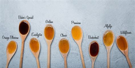 Mix different color meanings in your bouquets. Types of Honey: 11 Honey Varieties, Uses, & More