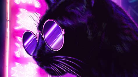 1600x900 Cat Glasses Neon Purple Nights 4k 1600x900 Resolution Hd 4k