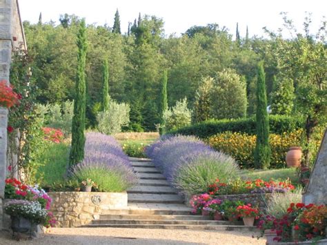 It has recently become a very popular choice for christmas trees because it grows faster and requires much less maintenance than the virginia pine. 21 best Tuscan Landscape Design images on Pinterest ...