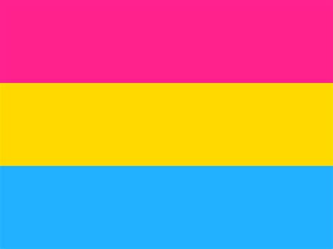 what does pansexual mean how is it different from bisexual and other questions pairedlife