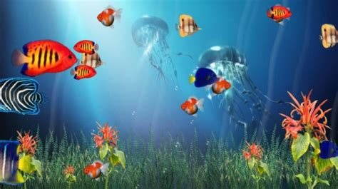 Marine Life Aquarium Screensaver 3d For Windows Sebuah